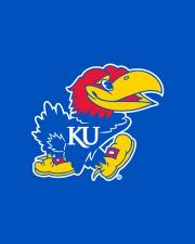 Jayhawk placeholder image